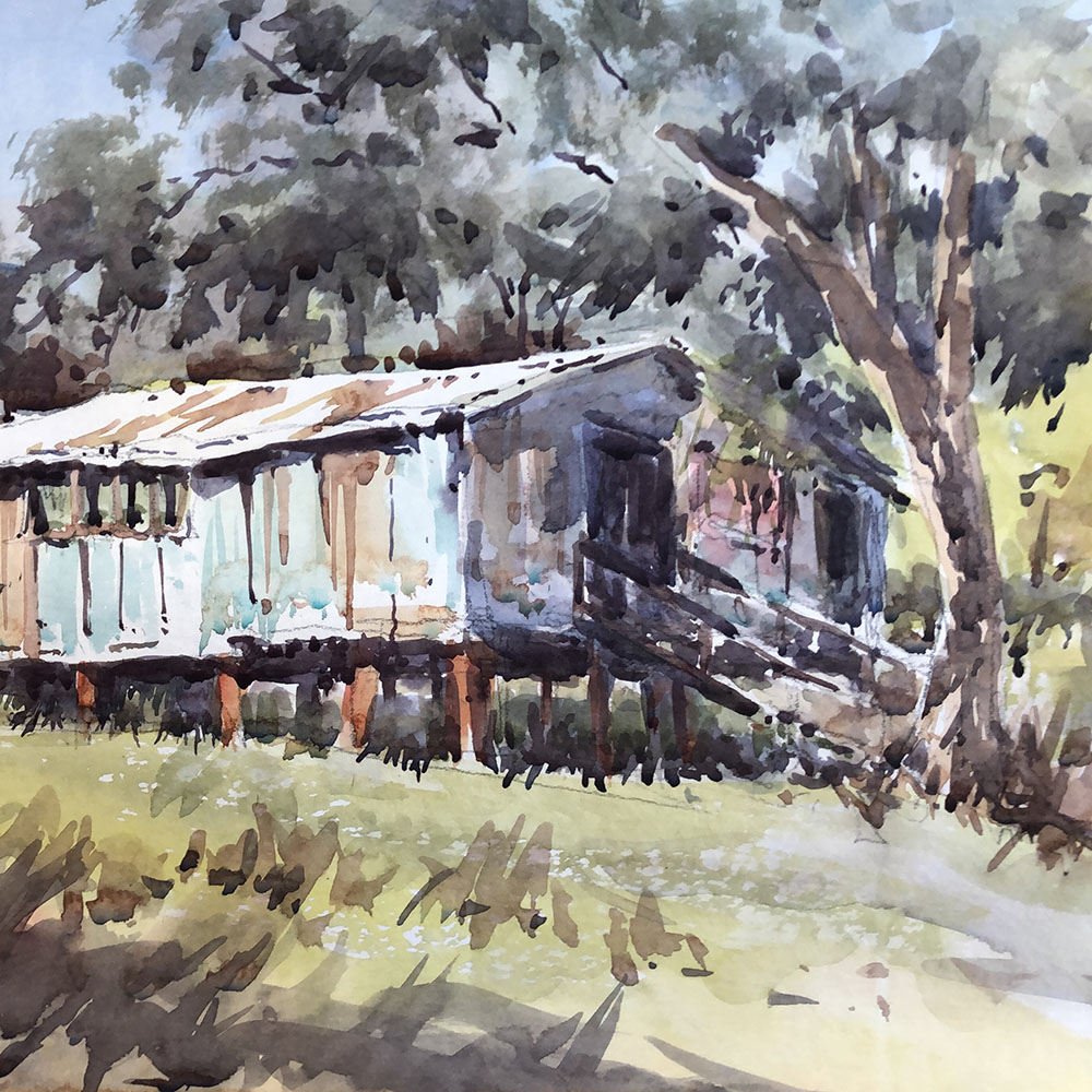 Jenny Macnaughton artist mudgee