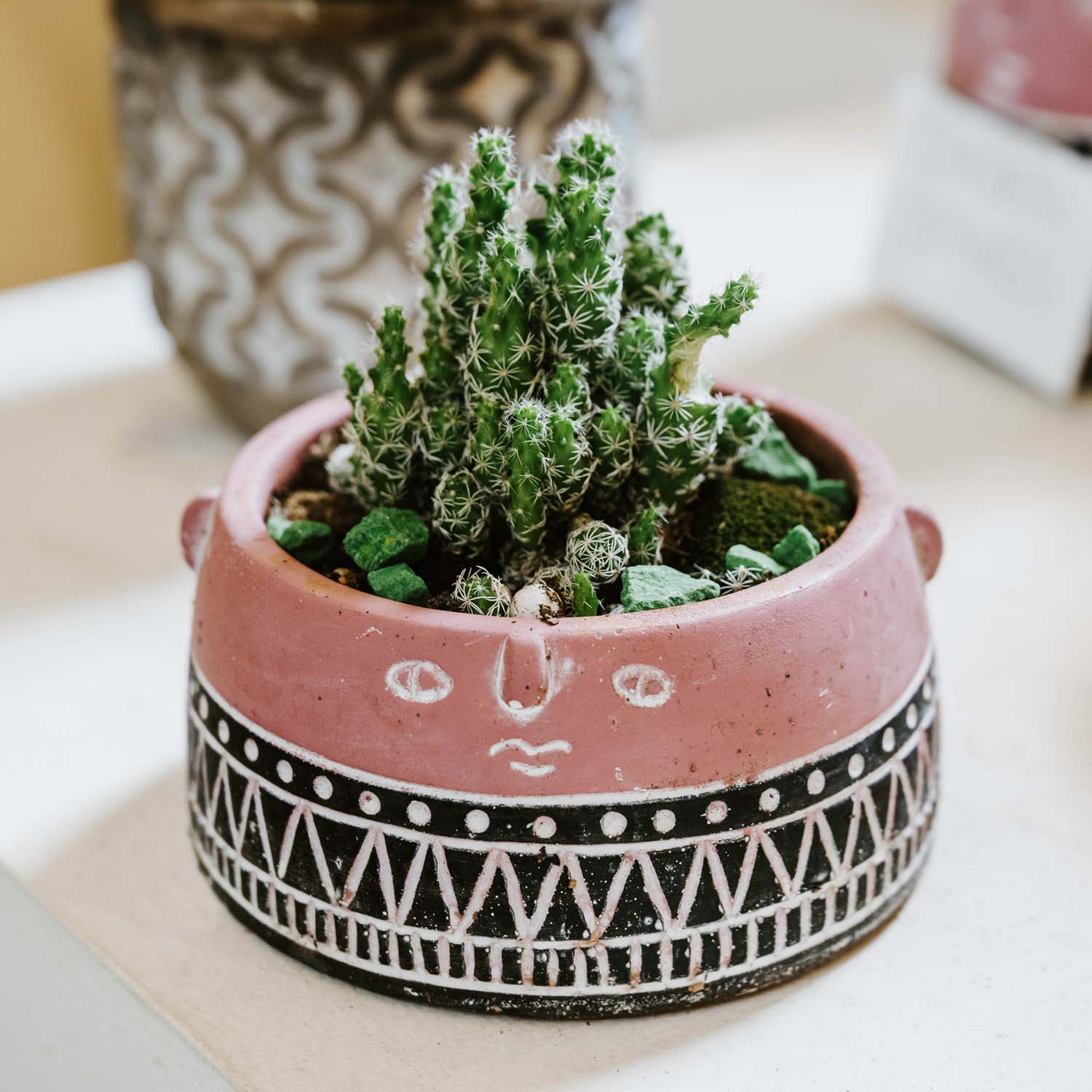 cactus-painted-pot-colourful-mudgee