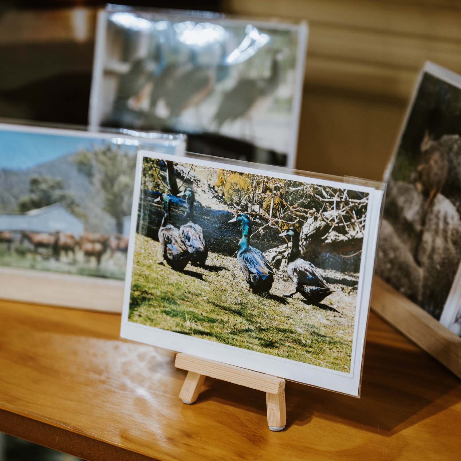 mudgee-photography